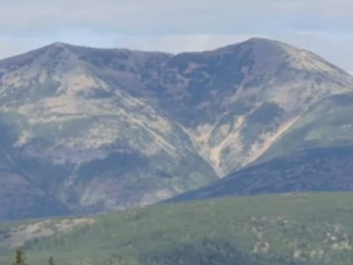 В краю непуганых топтыгиных