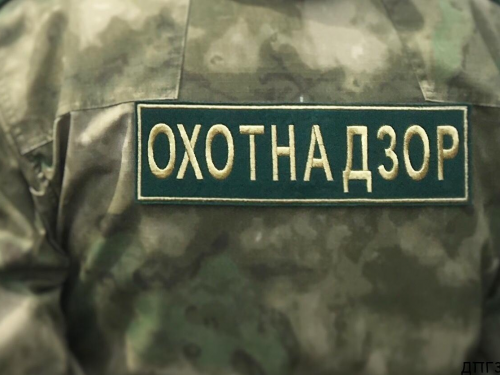 Охотнадзор наделят правом рассматривать дела о незаконной охоте
