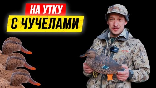 ОХОТА на УТКУ с чучелами ???????????? Как расставлять чучела уток