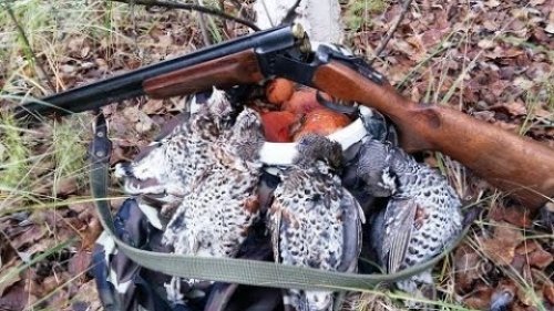 Рябчик  Быстрая разделка
