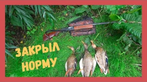 Двух уток с одного выстрела! Отличная ОХОТА на КРЯКВУ.
