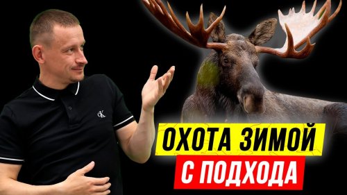 Лось с подхода зимой | Охота на ЛОСЯ ????