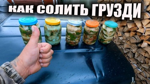 Как солить грузди холодным способом бабушкин рецепт