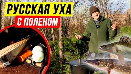 Русская УХА с поленом из 4-х видов рыбы. УХА на костре ????