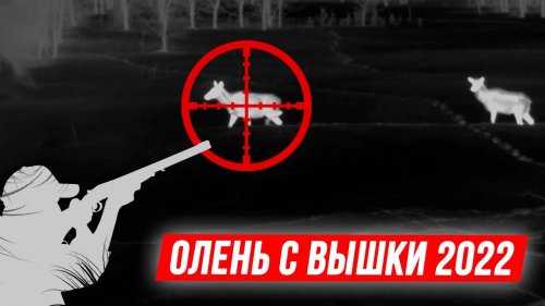 ???? ОЛЕНЬ с вышки, зимняя охота 2022 | Олени в тепловизоре Pulsar Helion 2 XP50