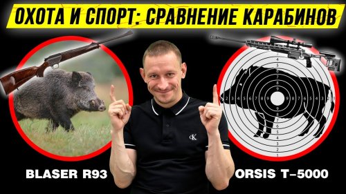 ???? ТИР и ???? ОХОТА: сравниваем карабины для стрельбы на 100м