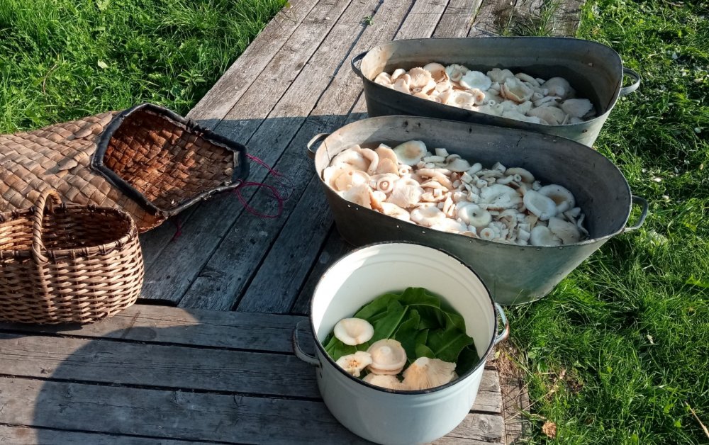 повезло