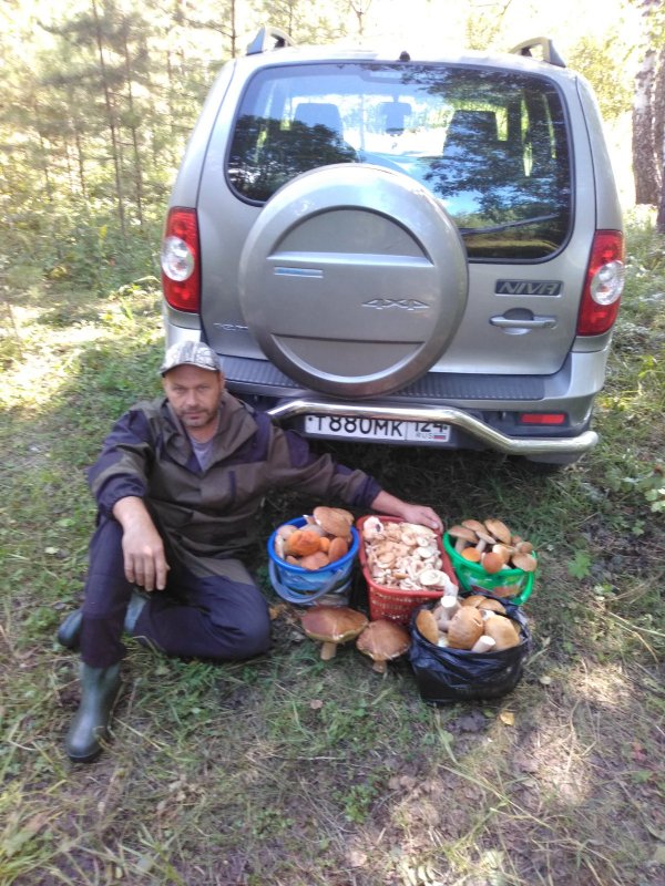 Белые вторая волна + опята пошли.