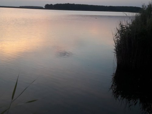 Утро открытия