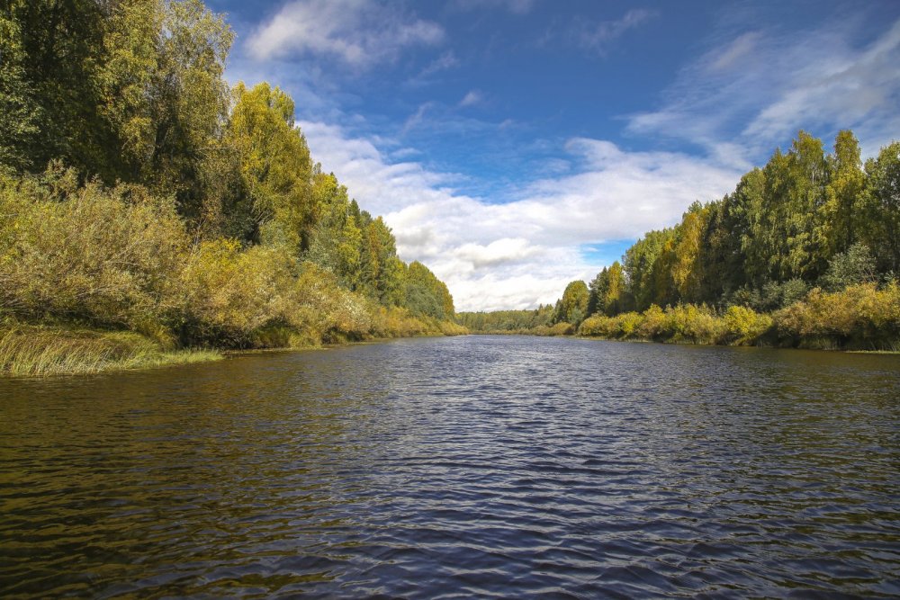 осенний день