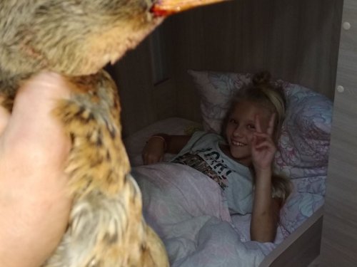 Сына, нет, буду дочку приучать!)