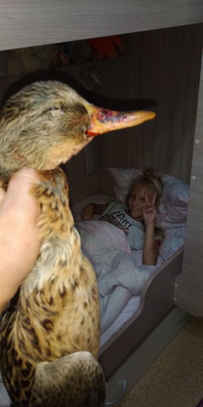 Сына, нет, буду дочку приучать!)