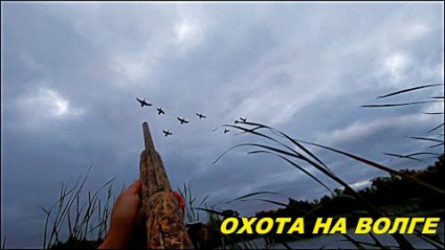 ПЕРЕЛЁТ НАЧАЛСЯ!!! 11 УТОК ЗА УТРЯНКУ!!! Охота на уток с МР-155 / MAX HUNTER