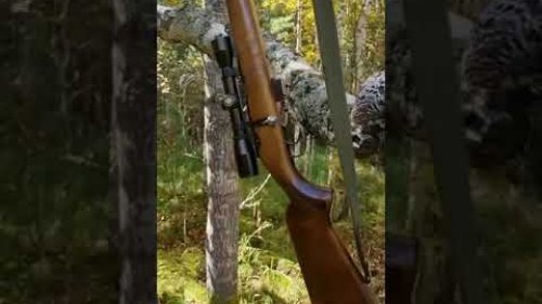 Рябчик. Сентябрь 2022