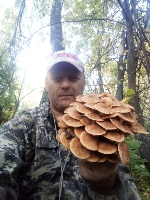 Пошли опята