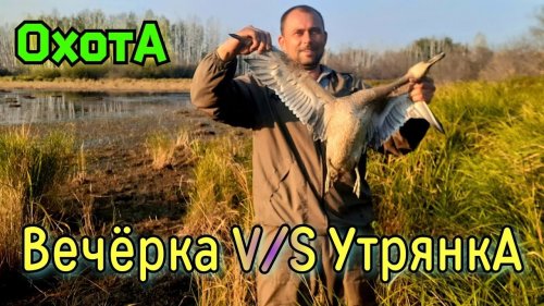 /Погоня за Подранком/Охота вечером И утром/Новое Болото/