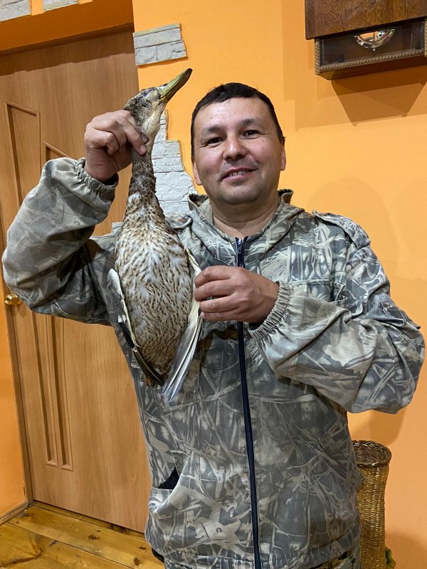 Молодой крякашик