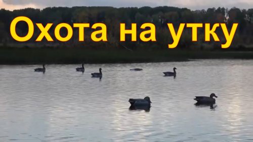 Охота на утку #13 Новый скрадок