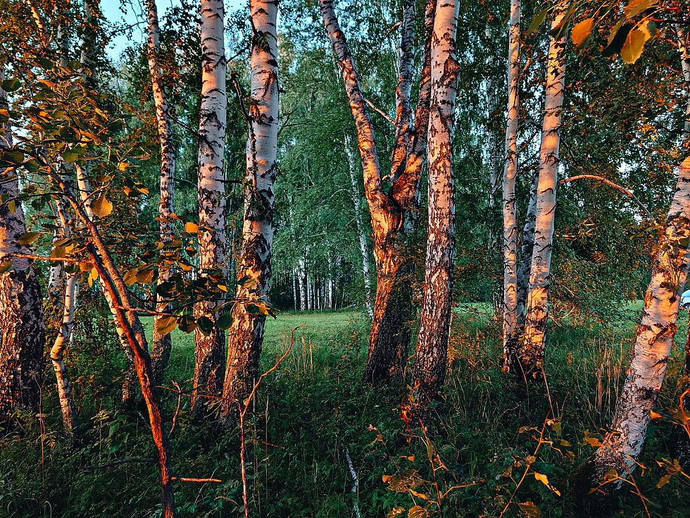 Закат