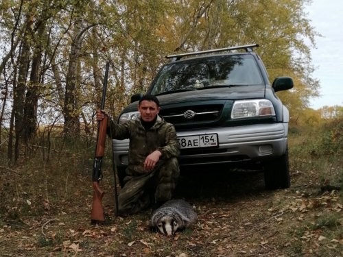 Барсук.