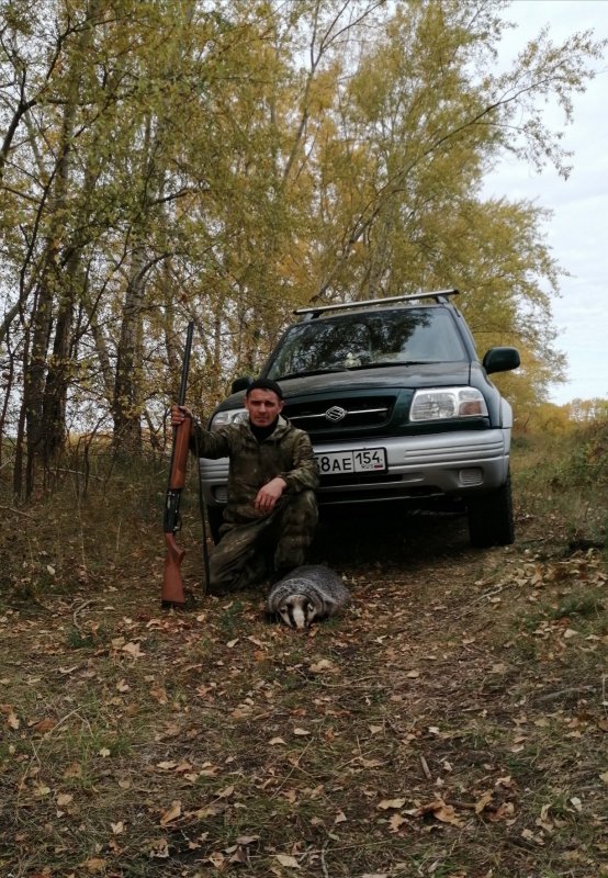 Барсук.