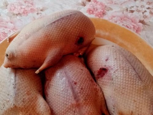 охотники улыбнитесь