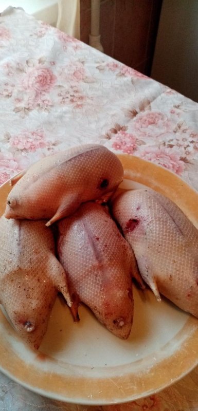 охотники улыбнитесь