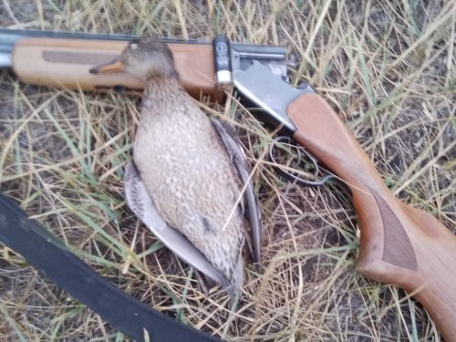 Сегодня скромненько.