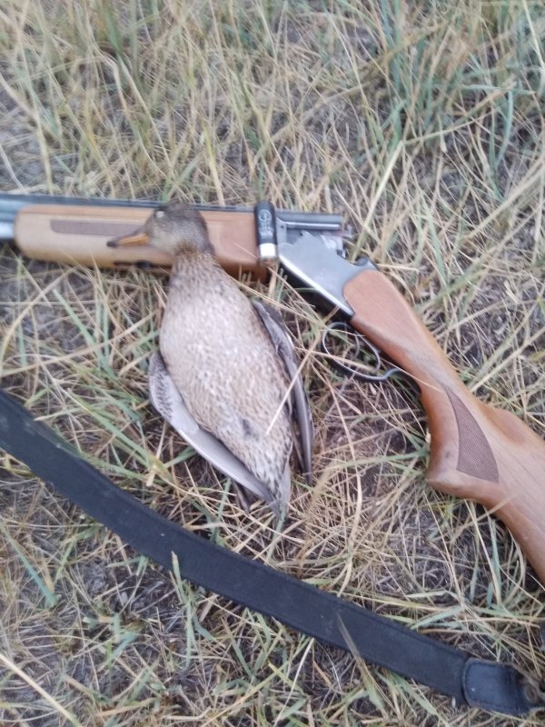 Сегодня скромненько.
