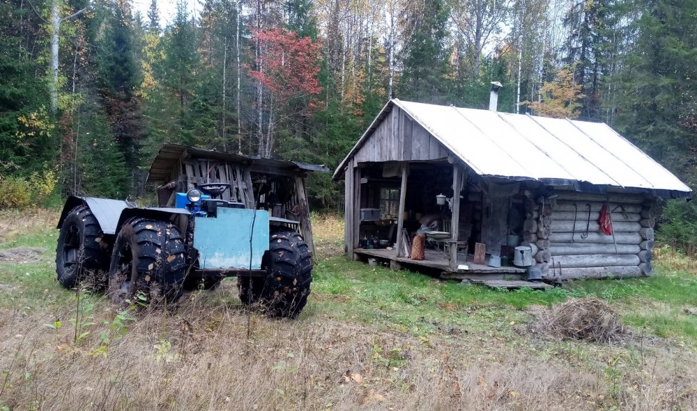 доехал