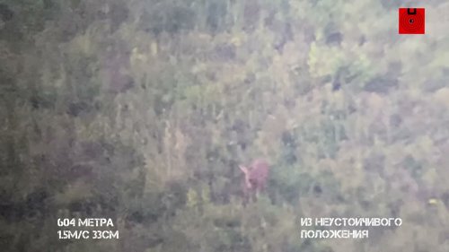 Козел с 604м из неустойчивого положения