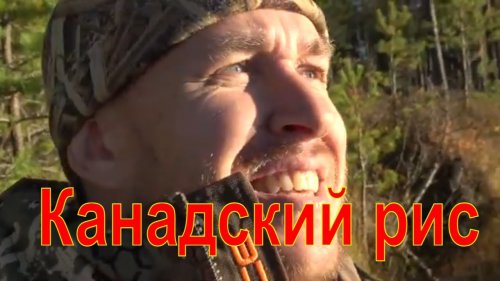 Канадский рис / Биотехния #2