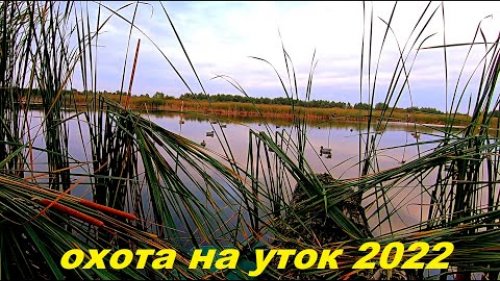 МНОГО УТОК И САМАЯ ТЯЖЕЛАЯ ОХОТА СЕЗОНА!!!! СЕКРЕТОНОЕ МЕСТО!!! РОЗЫГРЫШ ФОНАРЯ ARMYTEK / MAX HUNTER
