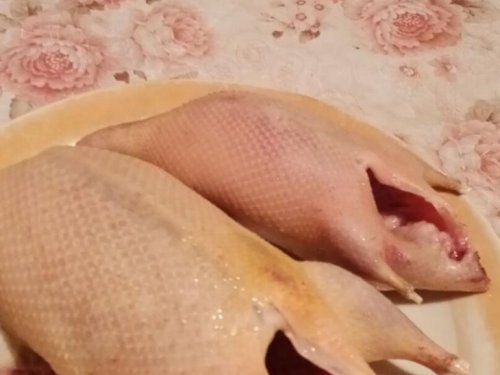 в данный момент дикие утки выглядят вот так