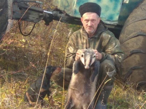Барсучок