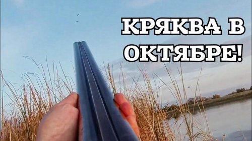 Настрелял крякашей за 15 минут! Охота с двустволкой!