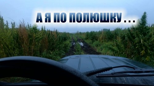 Охота рыбалка металлолом обычный день в лесу
