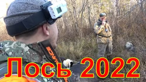 Охота на лося 2022