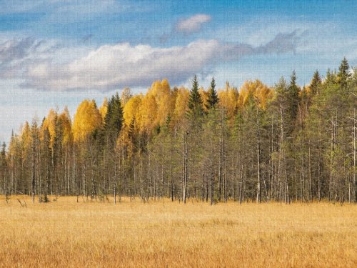 желтая осень