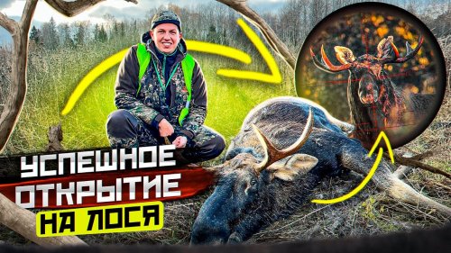 Рогатый ЛОСЬ вышел на номер!! ОХОТА НА ЛОСЯ 2022.