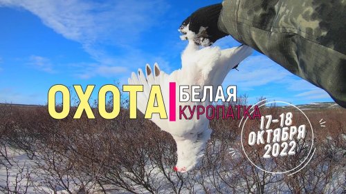 Удачная охота на белую куропатку. Пенжина. Hunting for Willow Grouse with homemade cartridges.