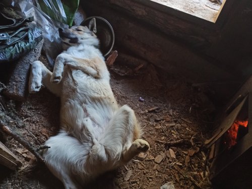 Жизнь удалась
