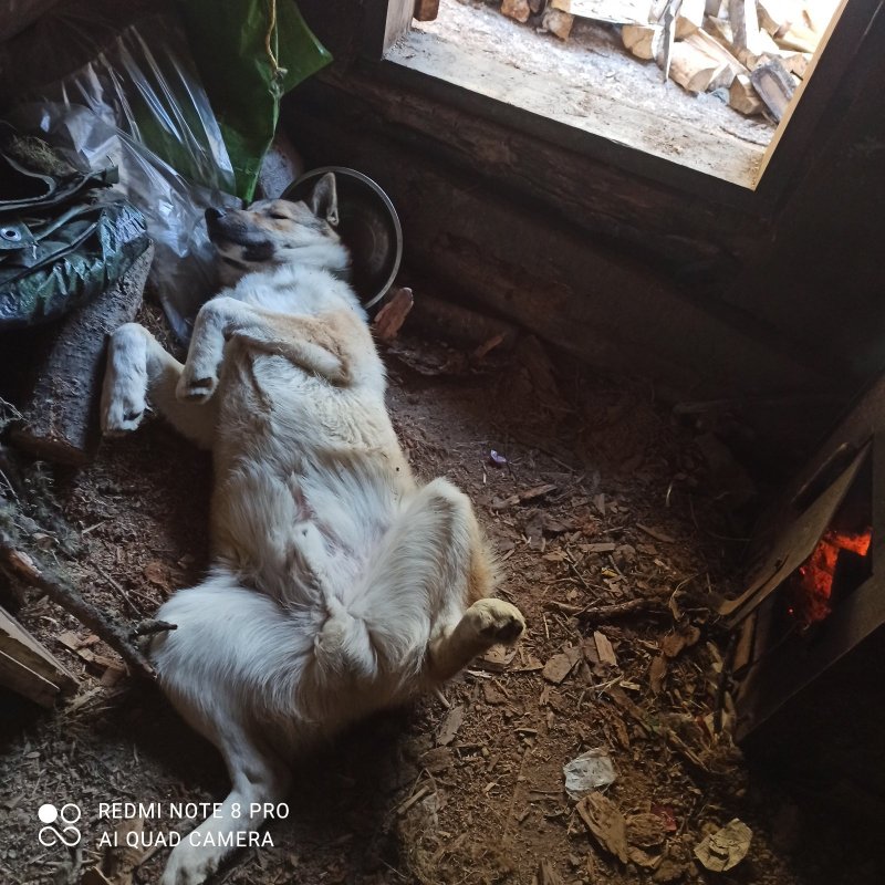 Жизнь удалась