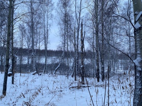 Первая охота или заяц посланный Богом
