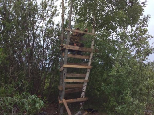 "Временно, на сезон хватит"...
