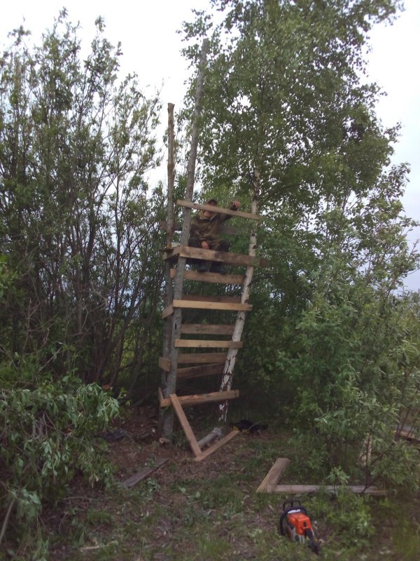 "Временно, на сезон хватит"...