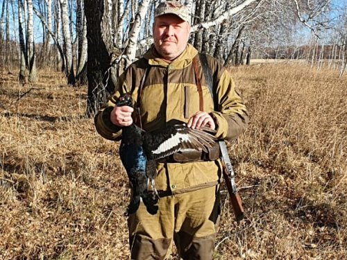 Погожим деньком по боровой