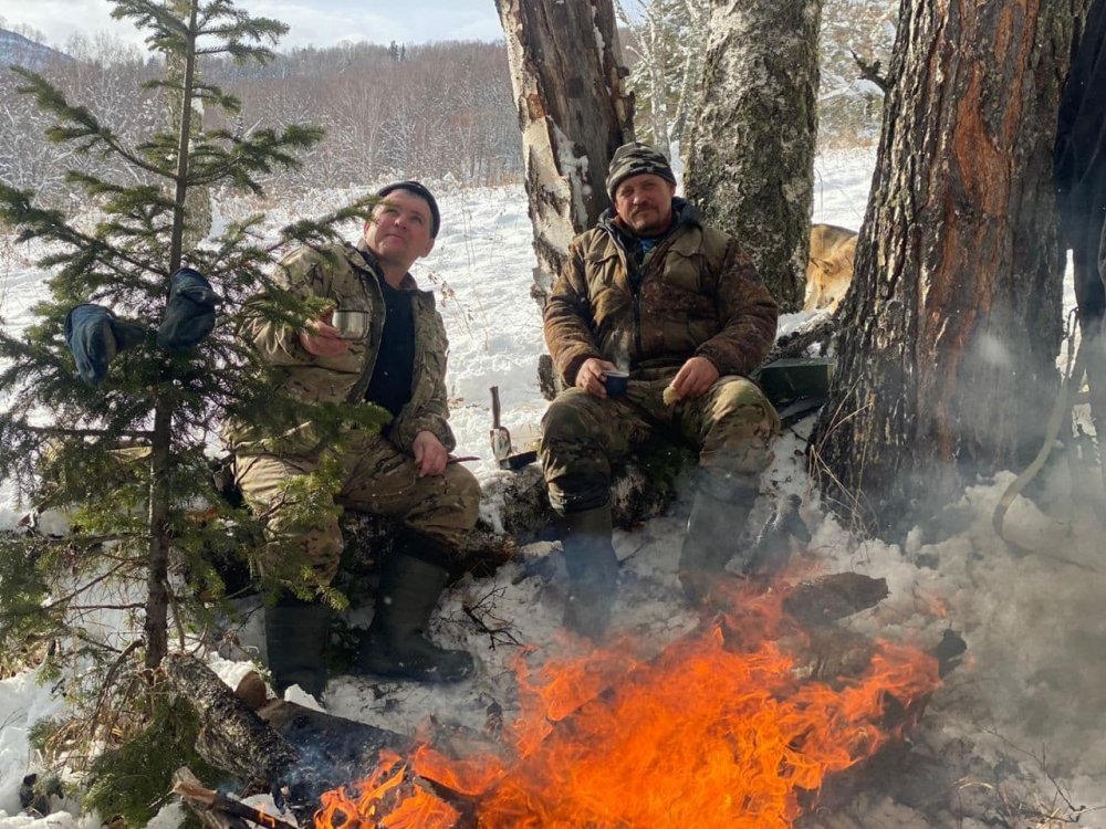 Сяду на пенёк съем пирожок
