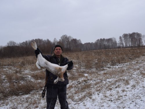 И снова русак!)))
