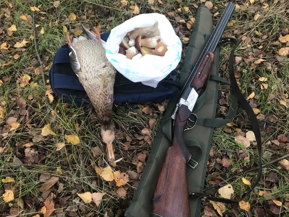 Навеяло что то ))